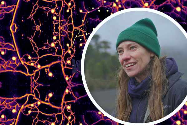 New climate champion takes root