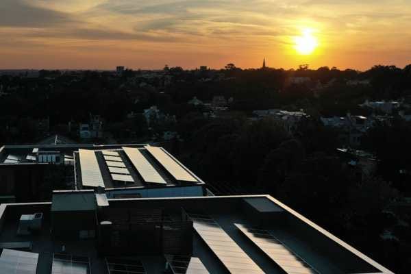 Spreading the sunshine