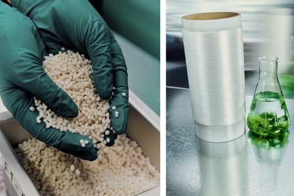 Seaweed plastic scales up