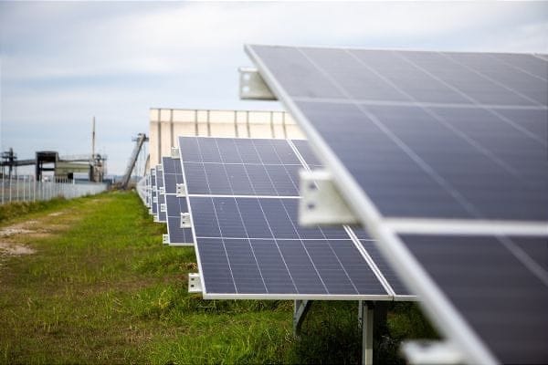 Sowing the seeds of change