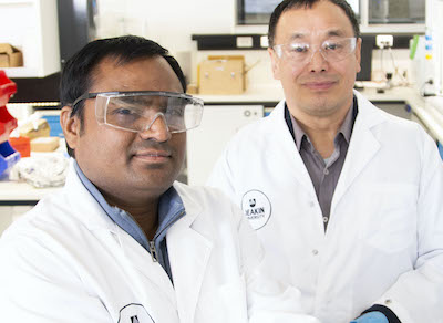 Dr Srikanth Mateti and Professor Ian Chen-web